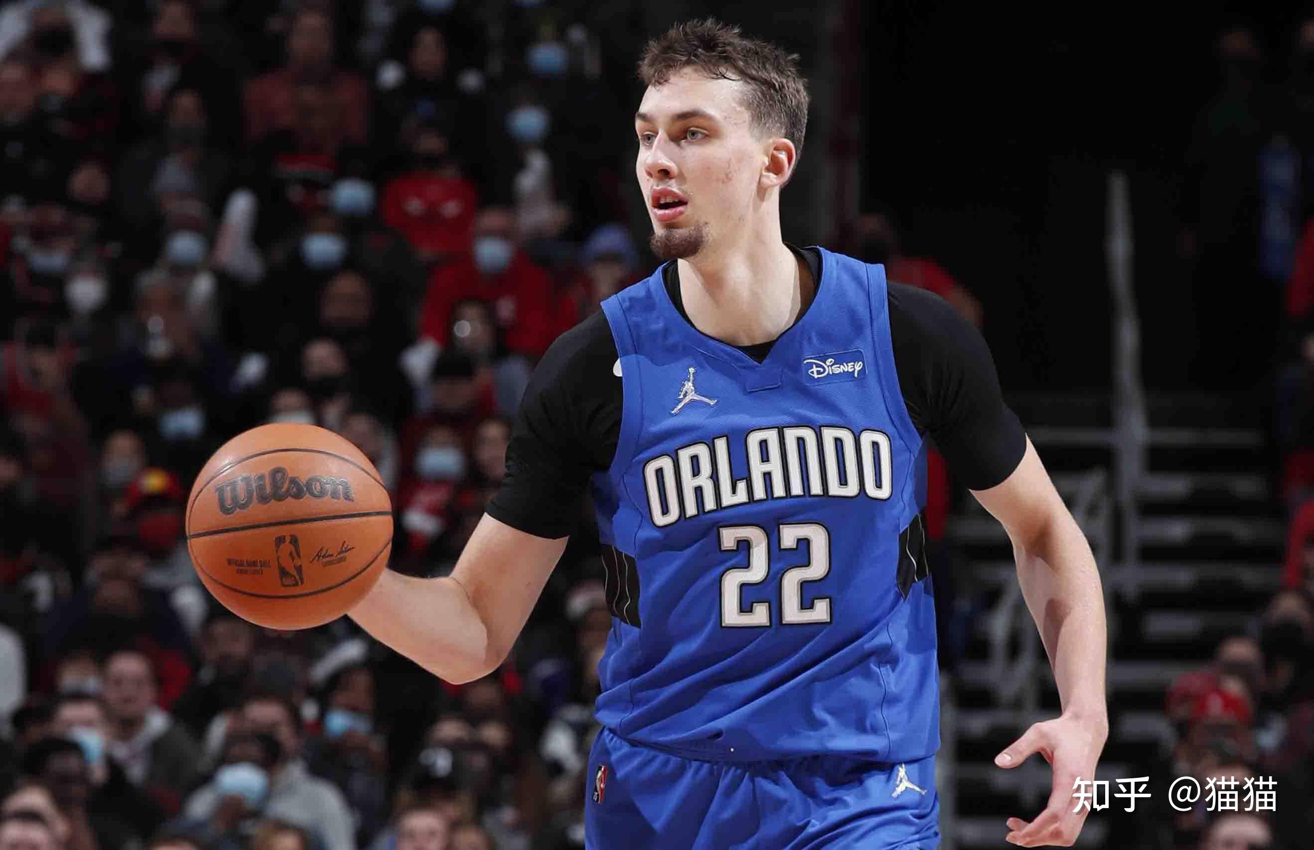 更是观察年 更是观察年